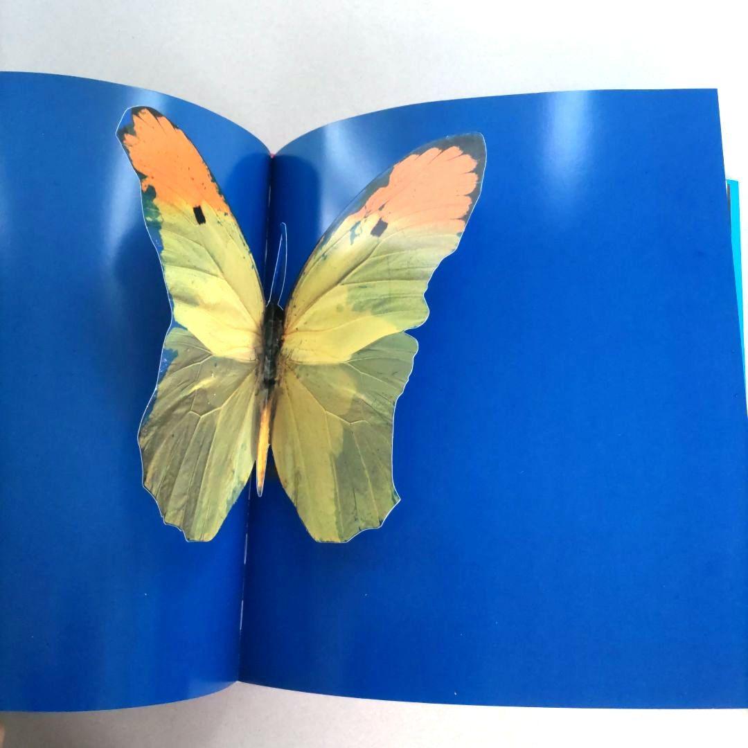 Damien Hirst/ダミアン・ハースト アート作品集