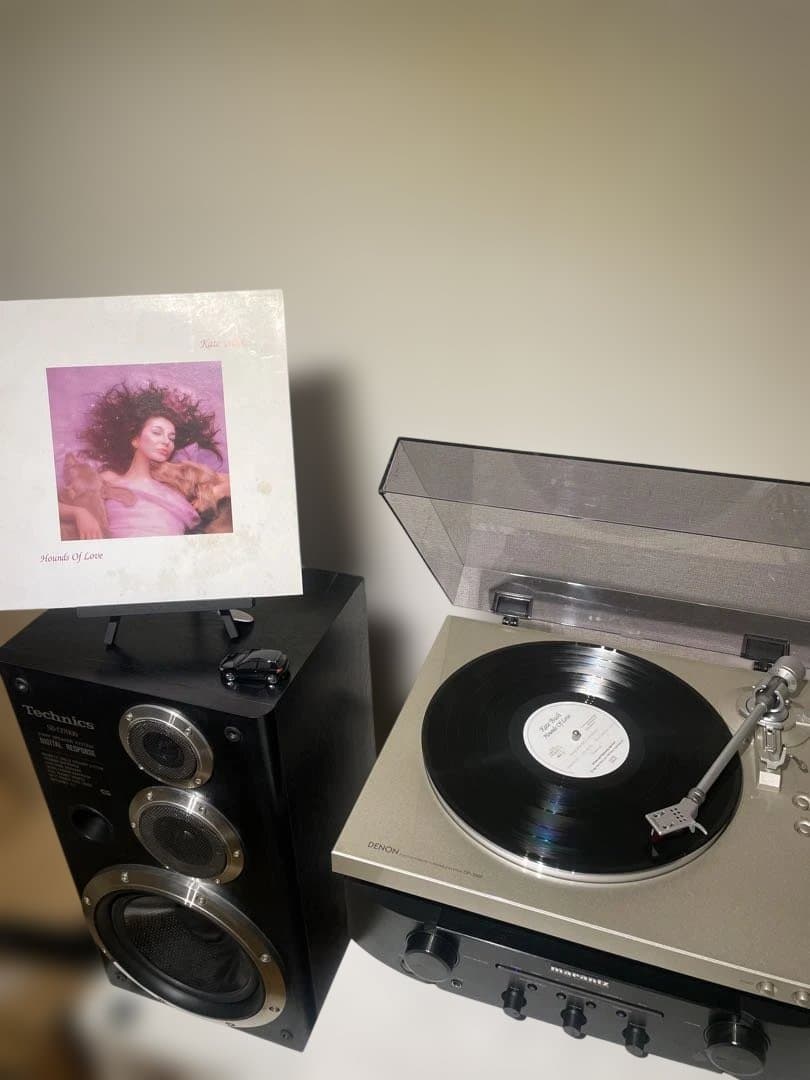 Kate Bush(ケイト・ブッシュ)「Hounds Of Love