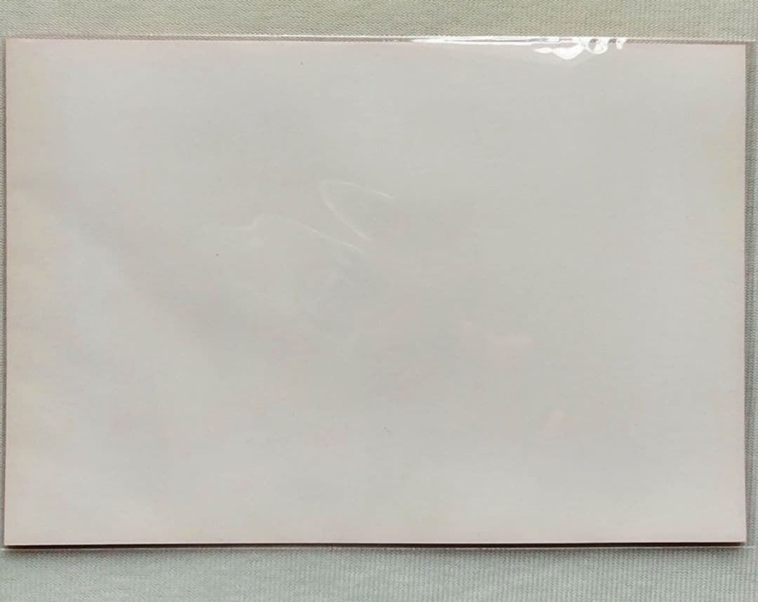 少女革命ウテナ画集 The hard Core of utena２冊+特典納品書