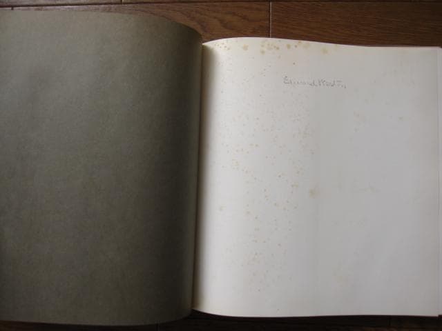 WESTON’S WESTONS　Edward Weston