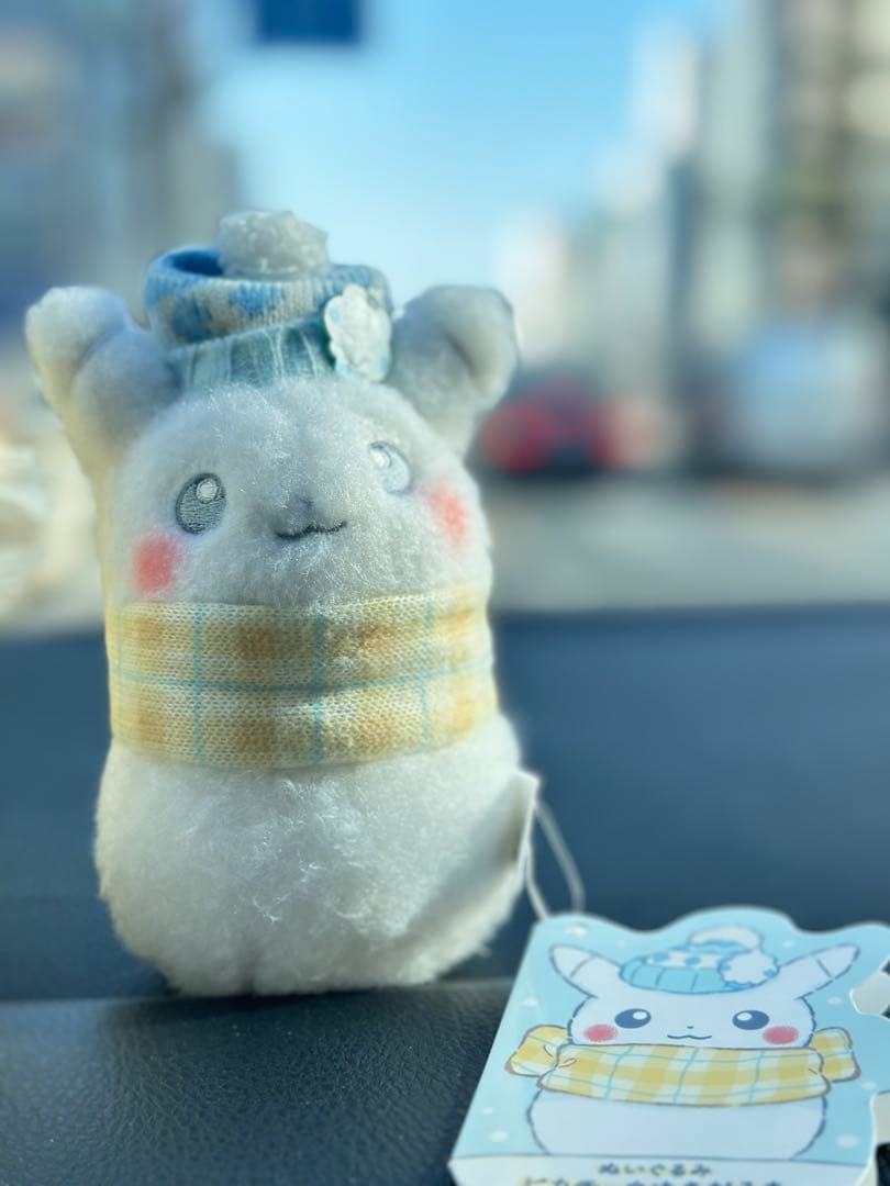 【匿名即日配送】ポケモン ぬいぐるみ ピカチュウとゆきあそび 2点セット