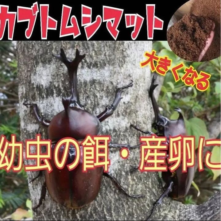 カブトムシ幼虫が大きく育ちます！ヒマラヤひらたけ発酵マット【8袋】栄養添加剤入り