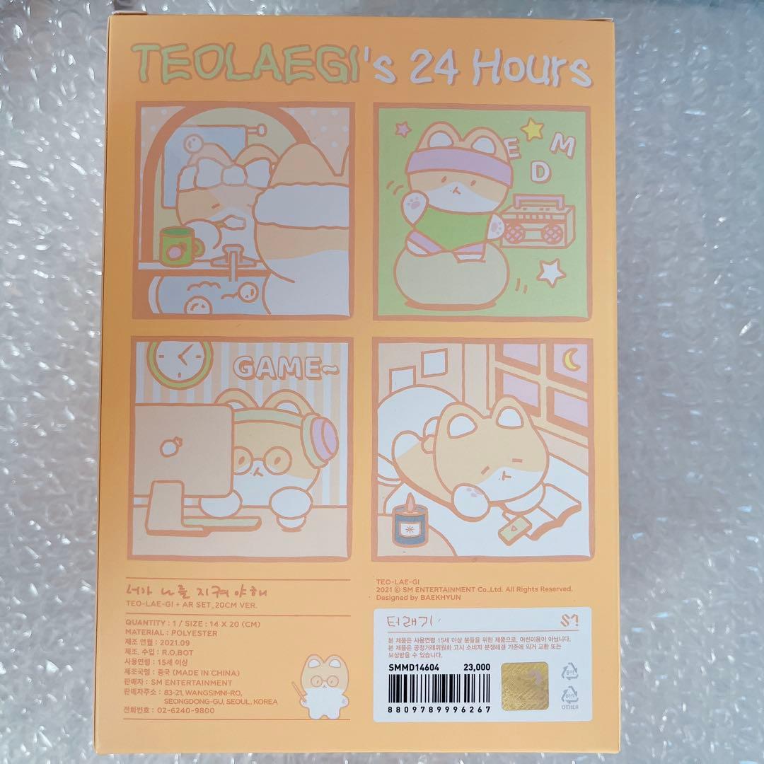 アイドル TEOLAEGI AR SET 20cm VER.