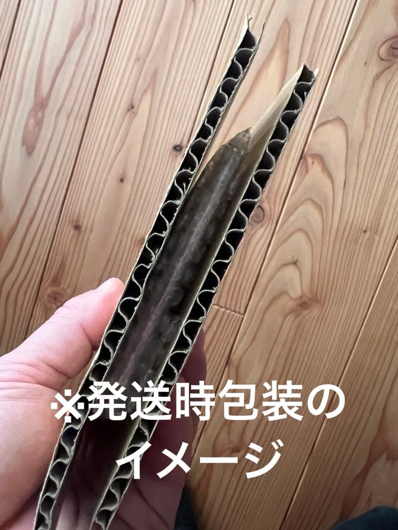 日*清様 PSA10 シロナのガブリアスex sv9a 087/063 SAR