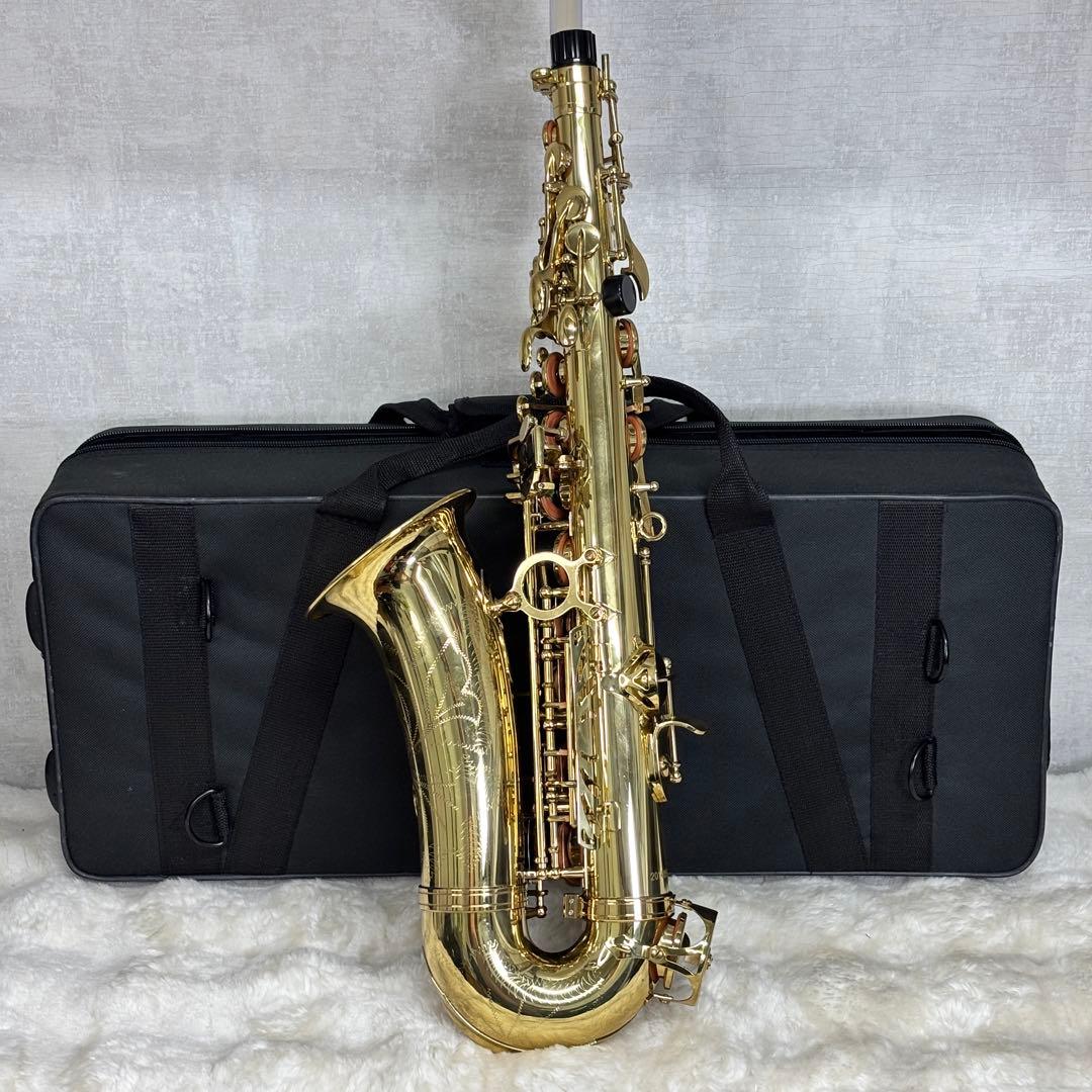 ✨美品✨Selva アルトサックス ハードケース付き 初心者〜練習用に◎