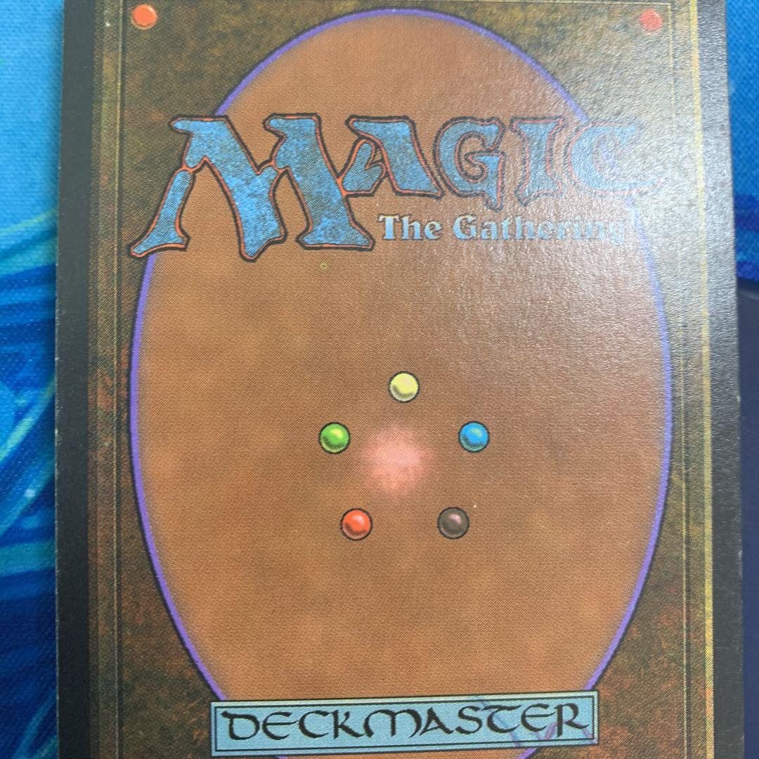 MTG Tundra②