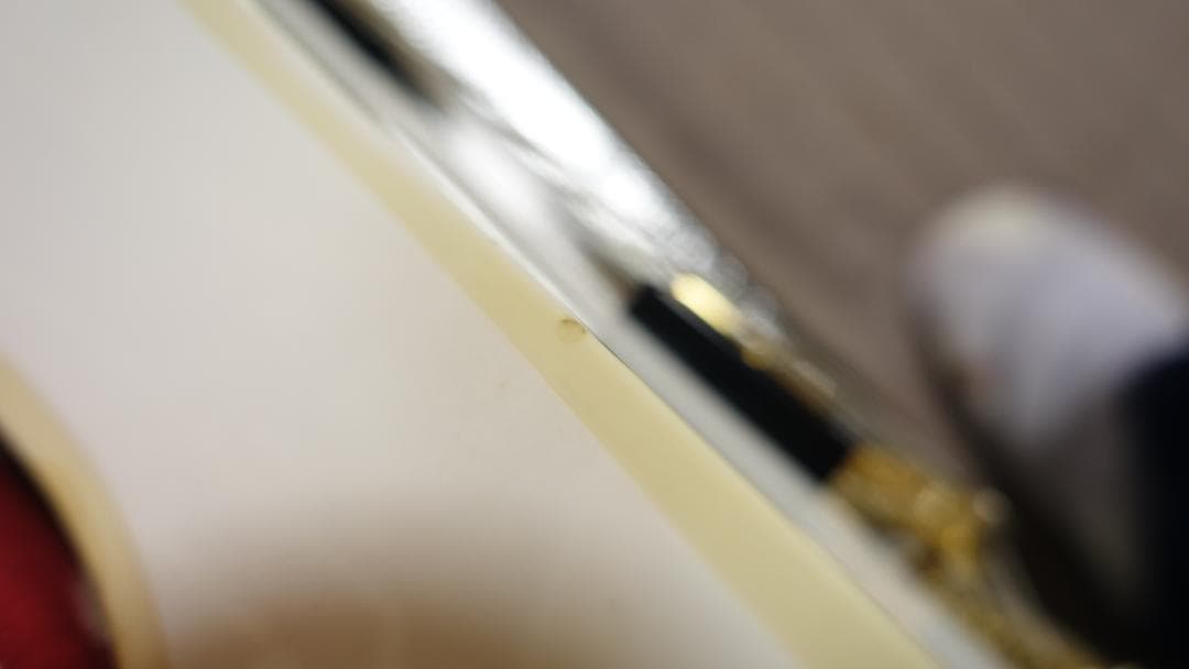ギター Navigator N-LP-CTM Alpine White