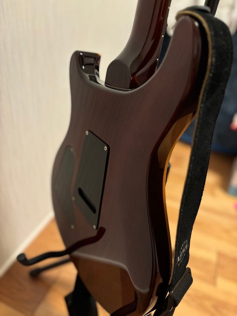 Paul Reed Smith (PRS) SE Custom 24サンバースト