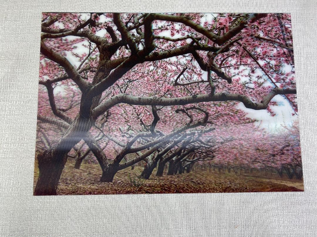 立体アート３点　額縁１点　虎 山の風景 桜風景　cc746