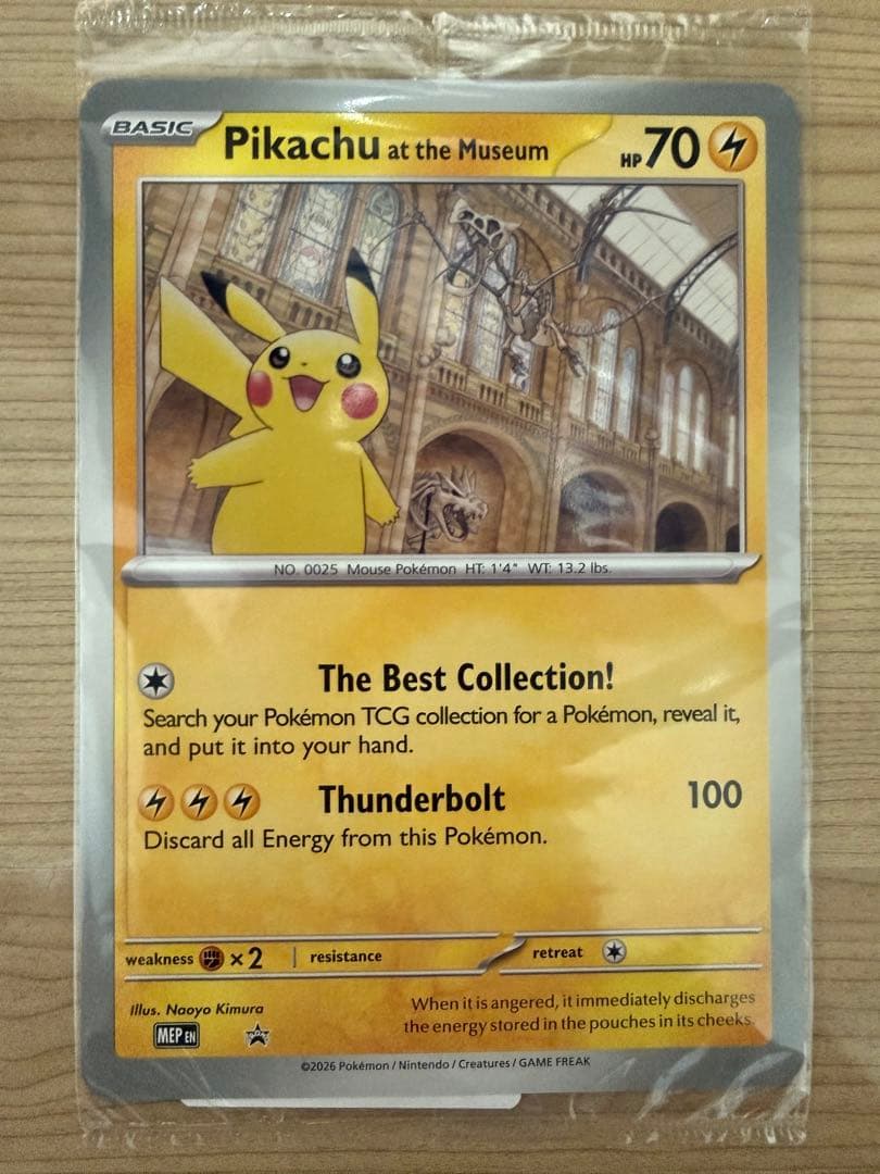 Pikachu at the Museum ピカチュウ ロンドン自然史博物館