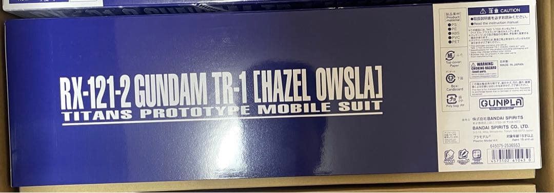 ＭＧ 1/100 ガンダムTR-1 ヘイズル・アウスラ