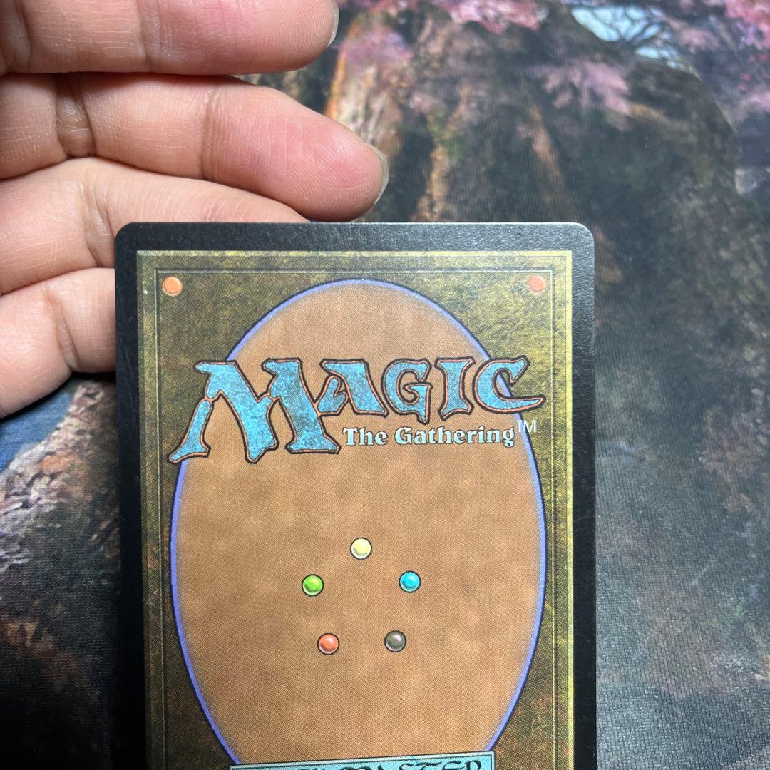 MTG グルランド　森　forest guru