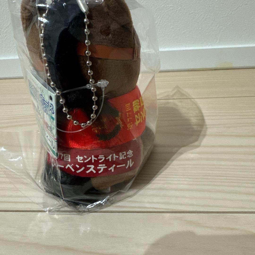 アイドルホース　レーベンスティール