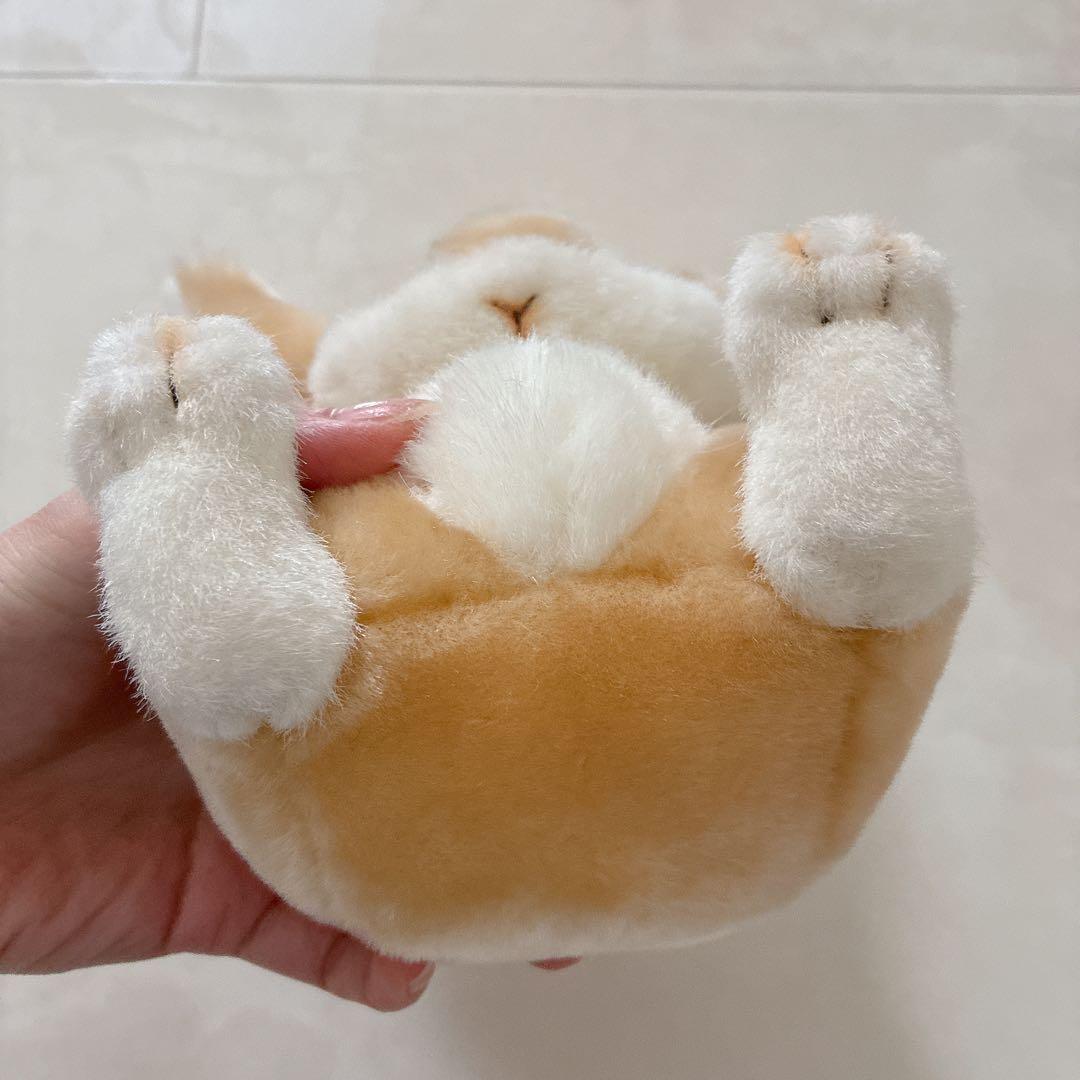 わちふぃーるど マーシィ ぬいぐるみ うさぎ