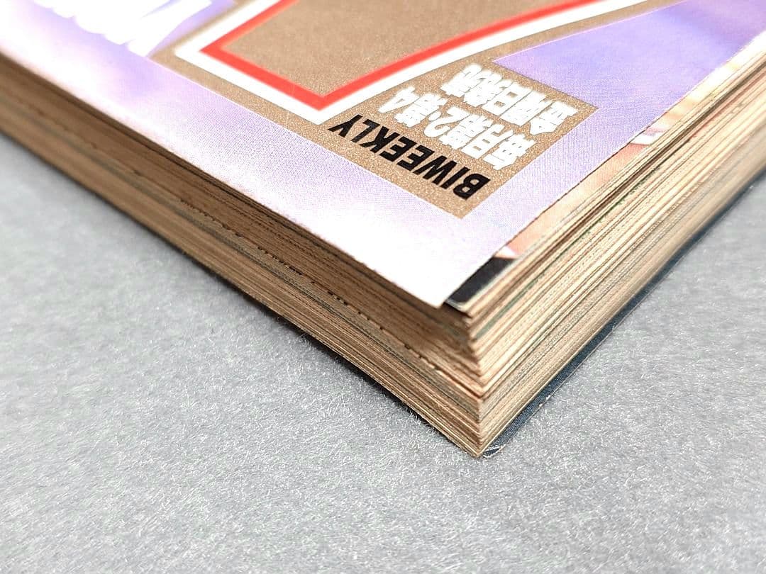 ヤングアニマル1998年1月9日1号ベルセルク巻頭カラー第112話/さとう珠緒