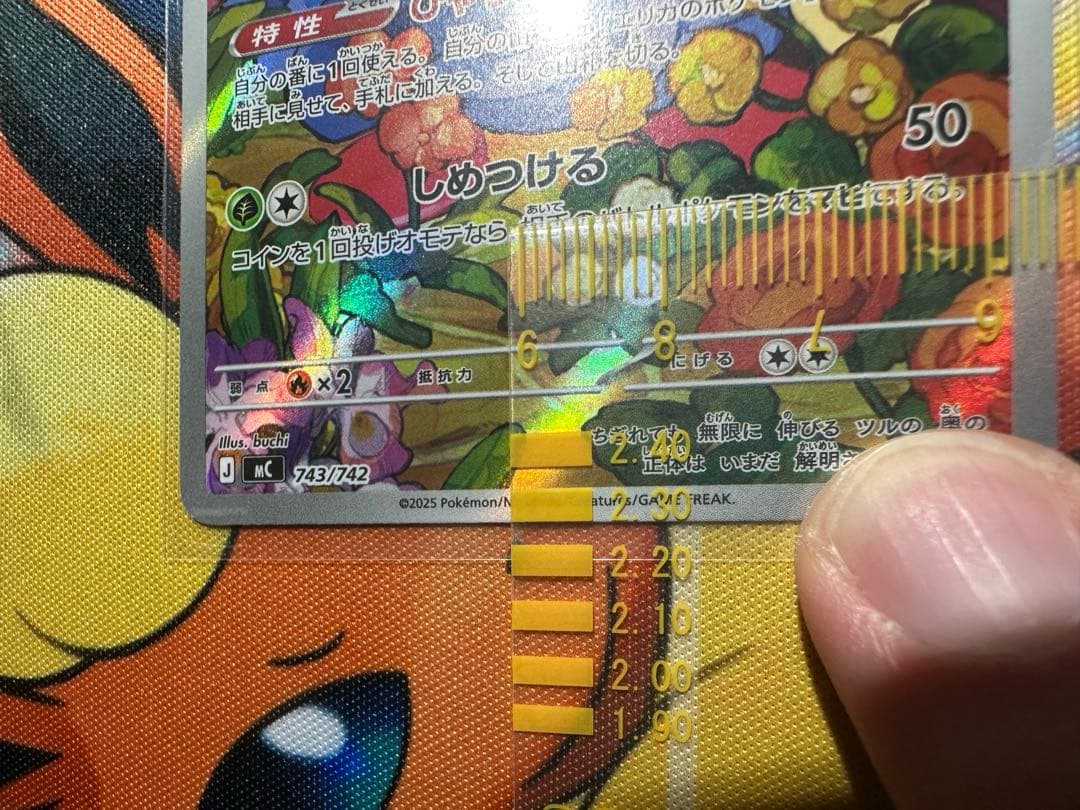 【極美品】エリカのモンジャラ　743/742