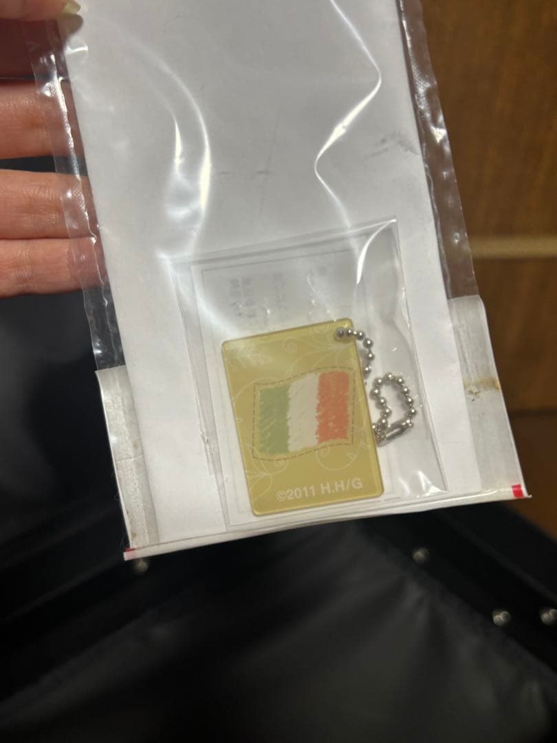 【超超激レア】ヘタリア キャリーケース【新品】