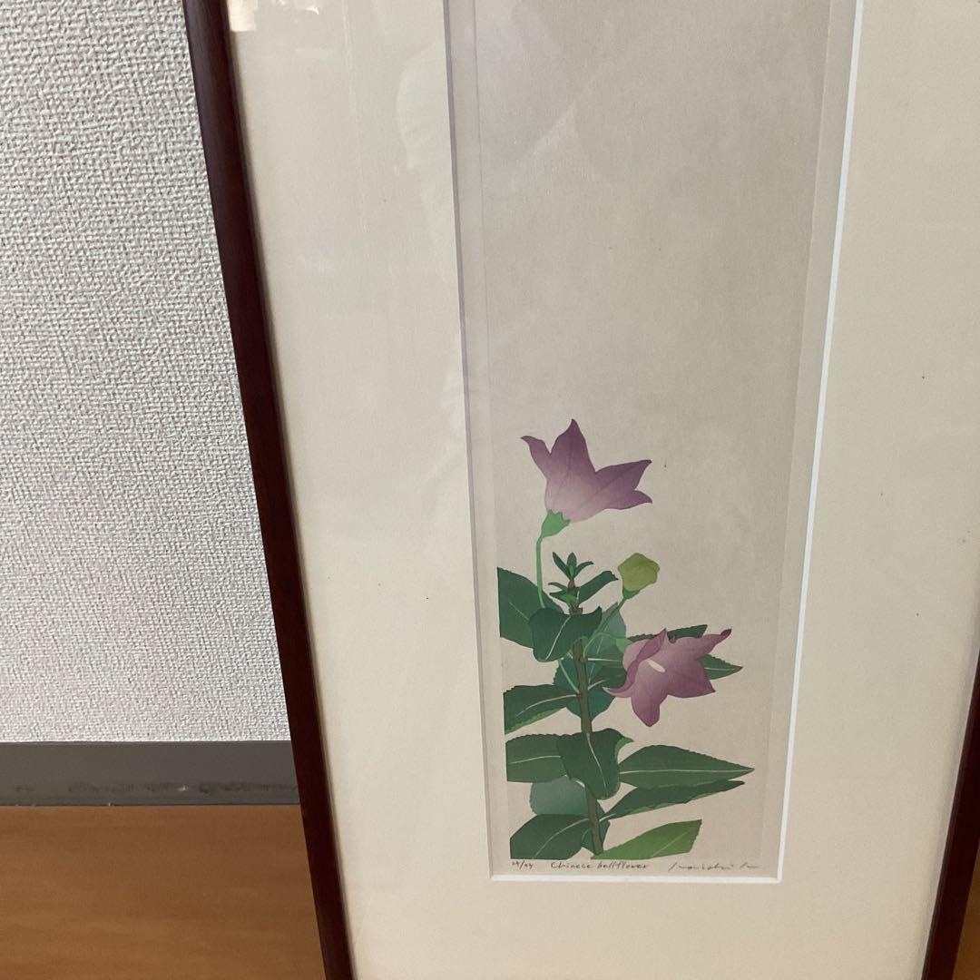 シルクスクリーン chinese bellflower 25/75