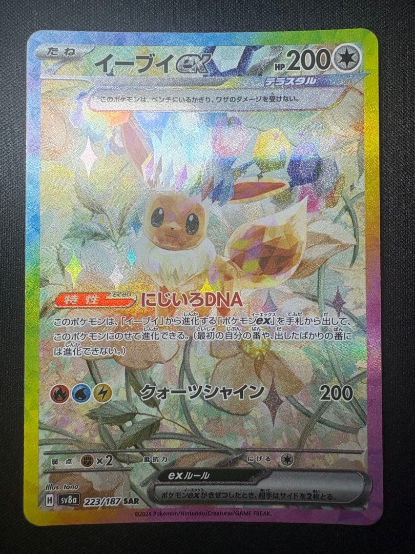テラスタルフェス　ブイズ4枚セット