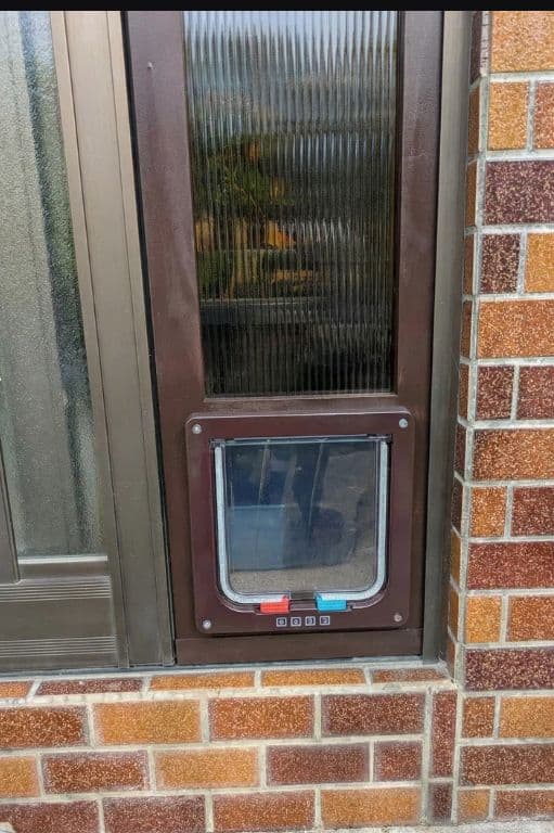 [行って帰る君]　ペットドア　新年キャンペーン中