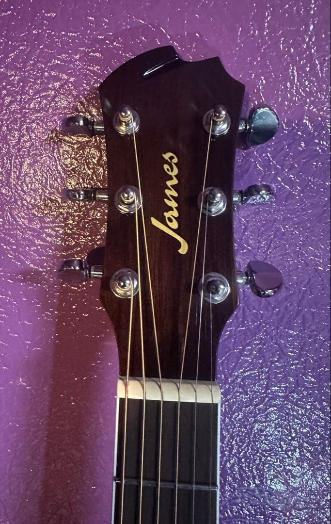 James J-300 D アコースティックギター