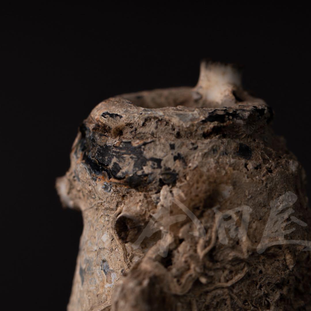 古代硝子  古代ガラス