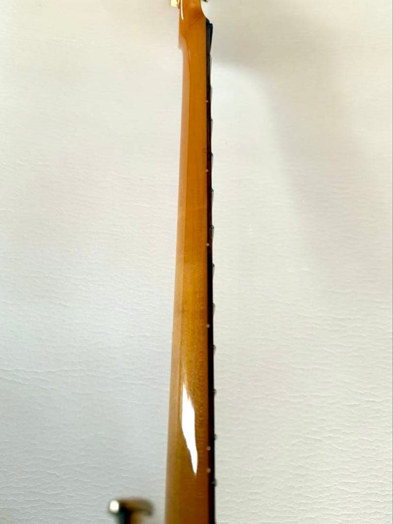 美品中古レア個体♪ Bill Lawrence BCOR シャケモデル
