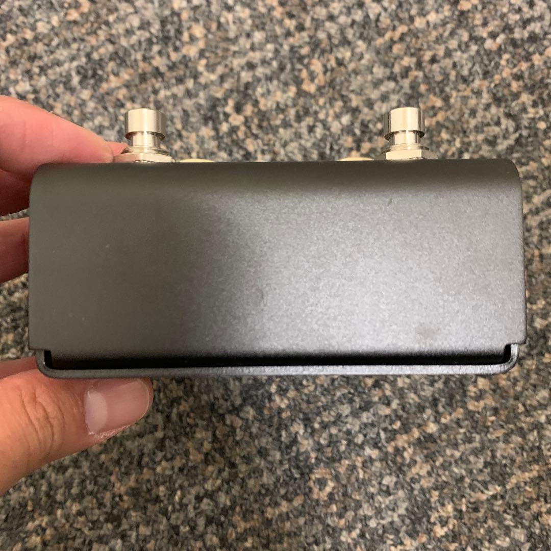 Strymon FLINT V2トレモロ・リバーブ