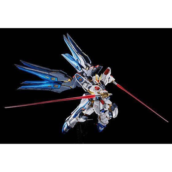 【2品セット】RG ストライクフリーダム／デスティニーガンダム チタニウム