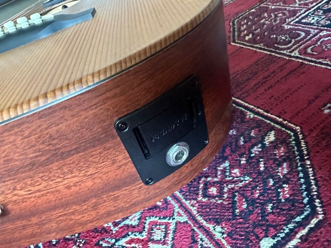 Martin LX1E リトルマーチン エレアコ 純正ソフトケース付属