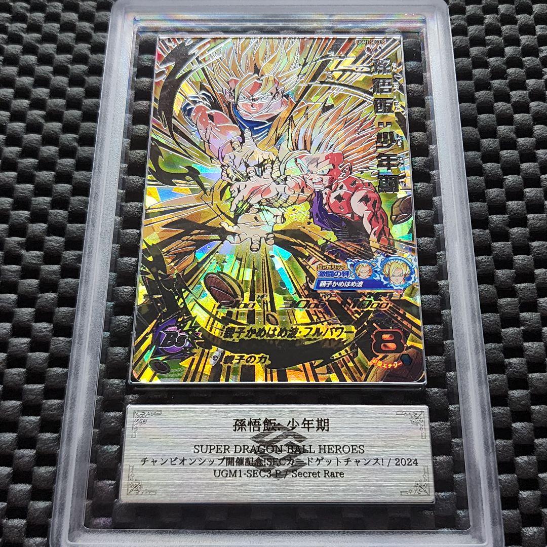 ARS鑑定10 孫悟飯少年期 UGM1-SEC3P ドラゴンボール