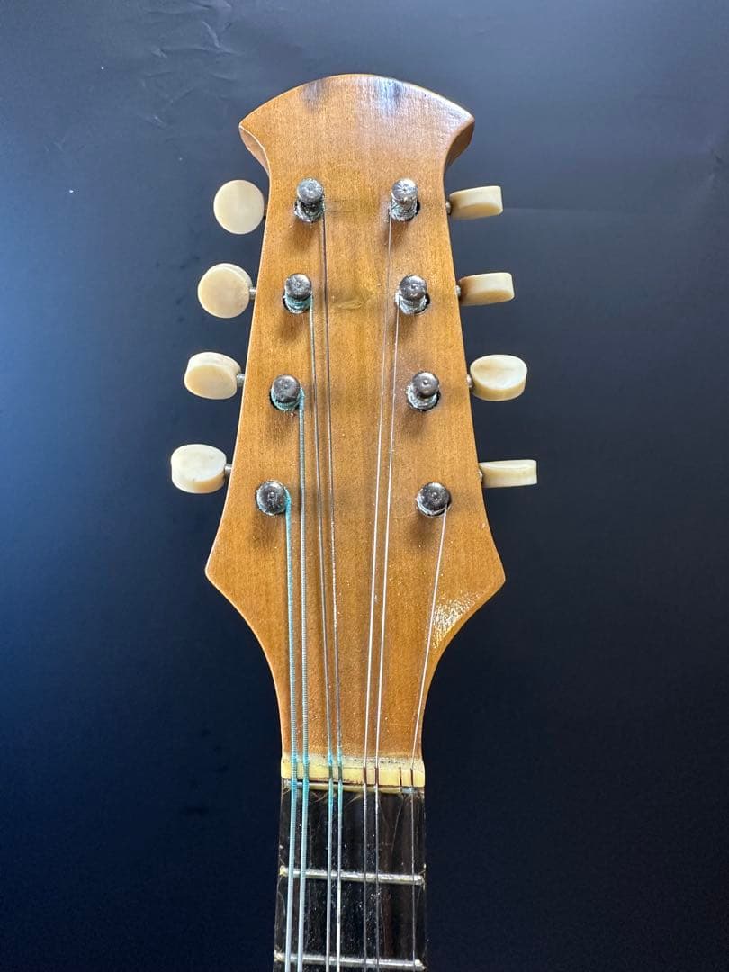 鈴木バイオリン マンドリン　Suzuki Mandolin 203 ケース付き