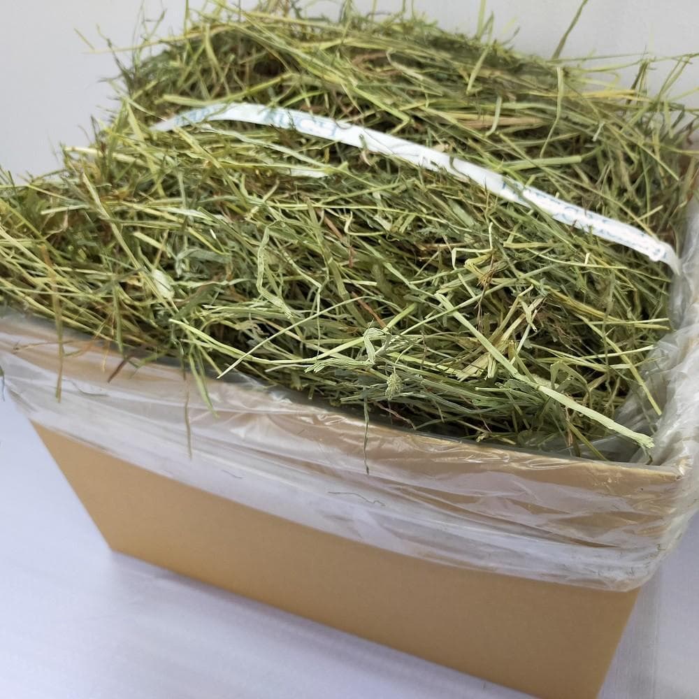 US産 チモシー 120kg ２番刈り ソフトSプレミアム