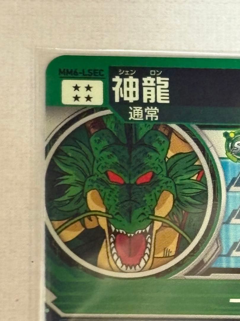 MM6-LSEC 神龍
