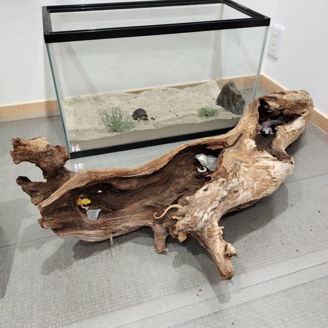 【No.901】超大型シェルター流木　爬虫類レイアウト✫