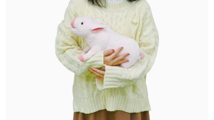 子豚のぬいぐるみ　30個セット