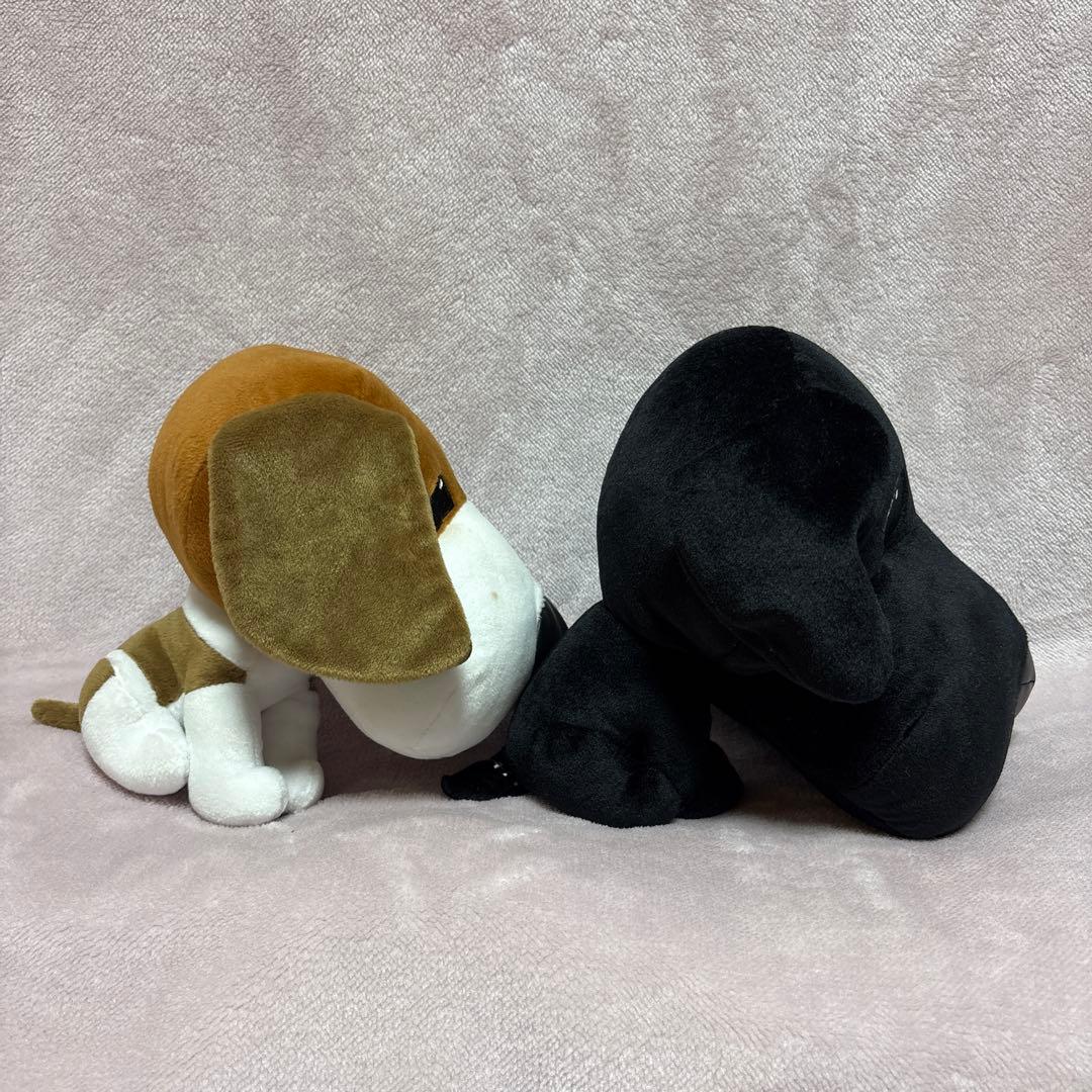 ふぉうちゅんドッグす ぬいぐるみ 犬 BIG 非売品 ビーチャン ラブリー