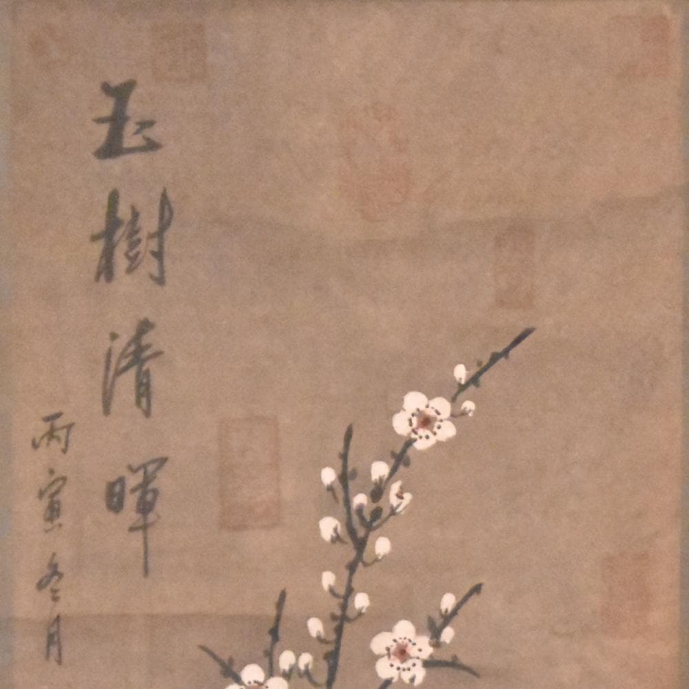 中国美術 王暉作 掛け軸 玉樹清暉 丙寅冬月 梅の図 唐物唐本 中国近代画家