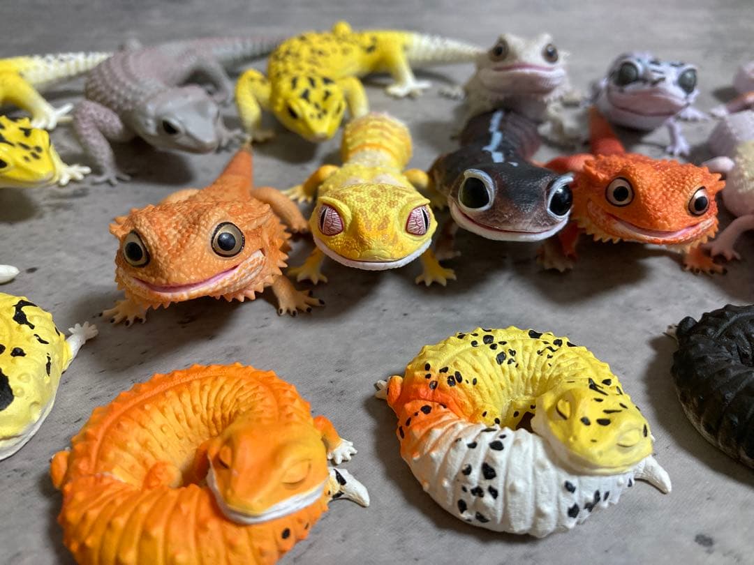 【単品購入⭕️】爬虫類/トカゲ まとめ売り