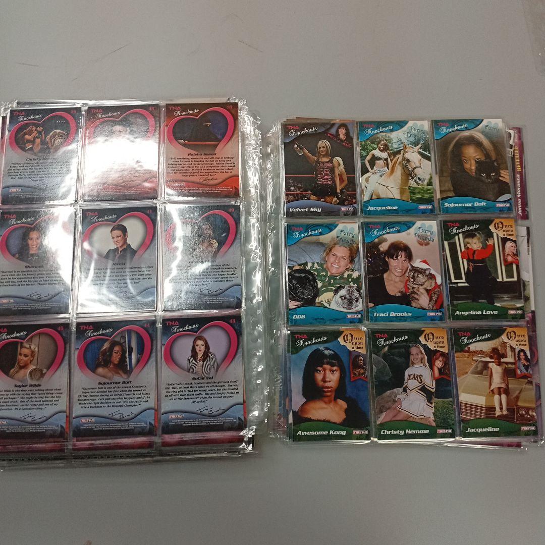 TNAトレーディングカードセット約300枚！