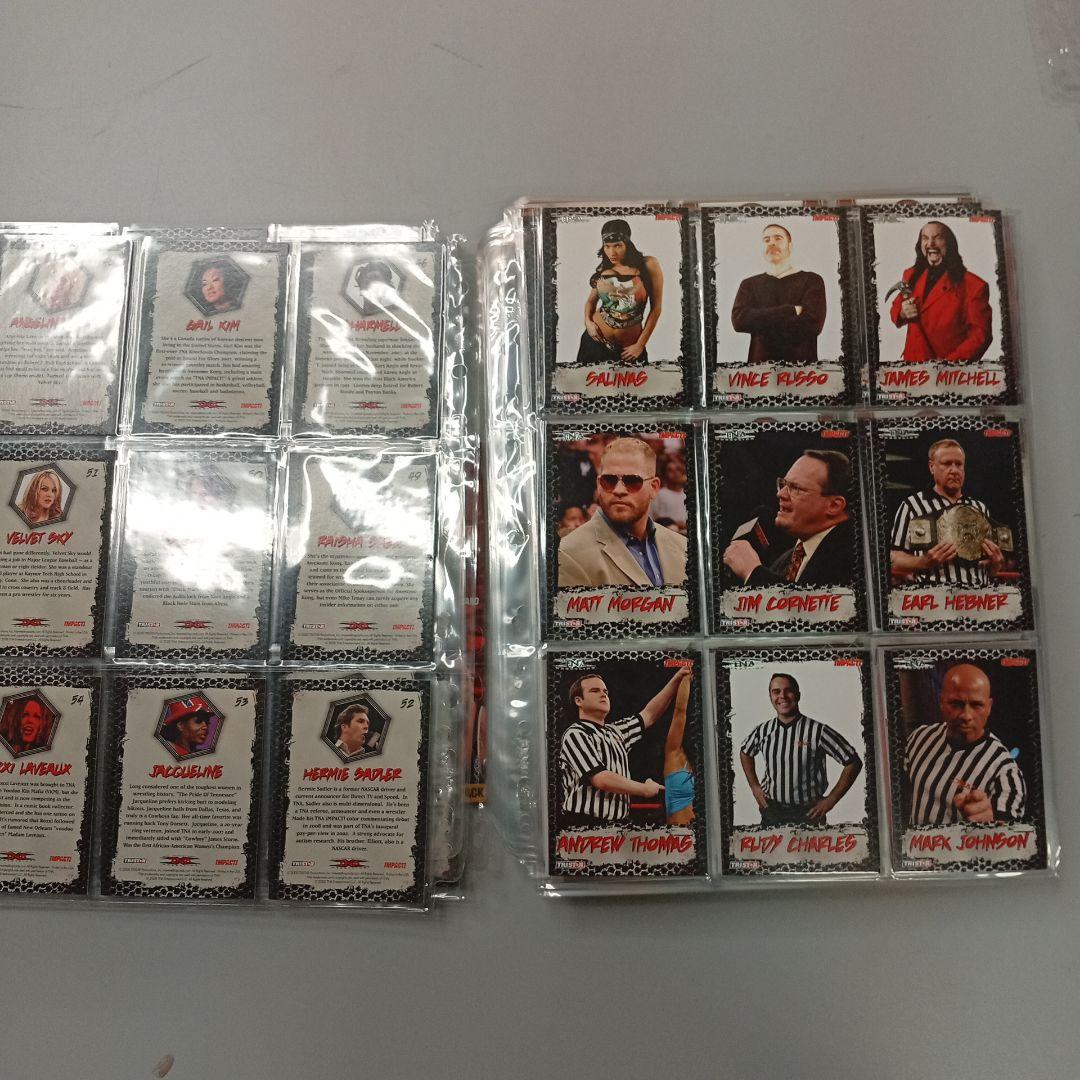 TNAトレーディングカードセット約300枚！
