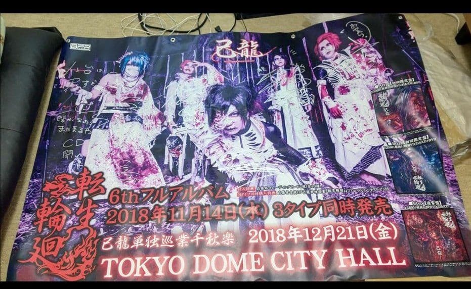 己龍セット