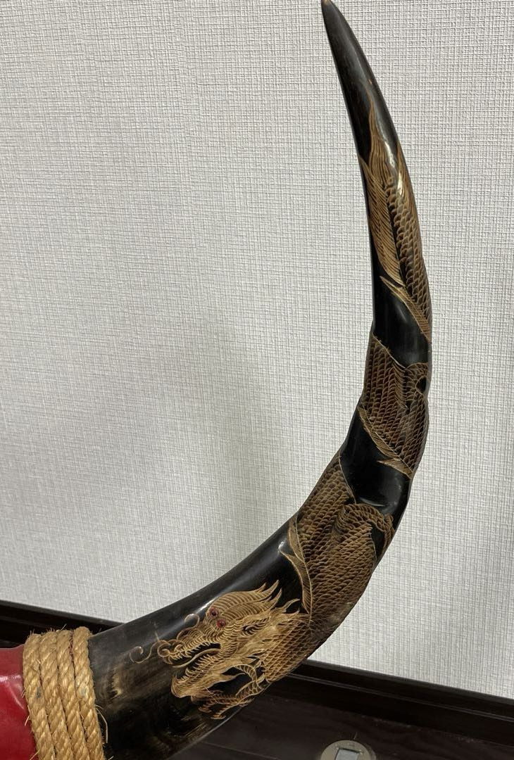 【水牛の角】《専用台付き》