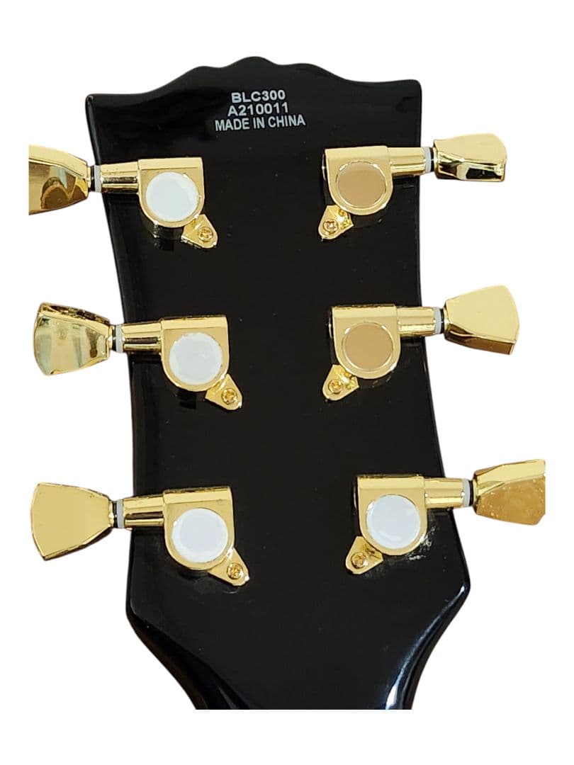 BUSKERS BLC300 レスポール　カスタム