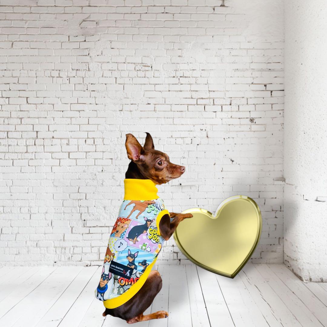 ⑮ミニピン、ミニピンを纏う　　　　　　　 　イタグレ、イタグレを纏う