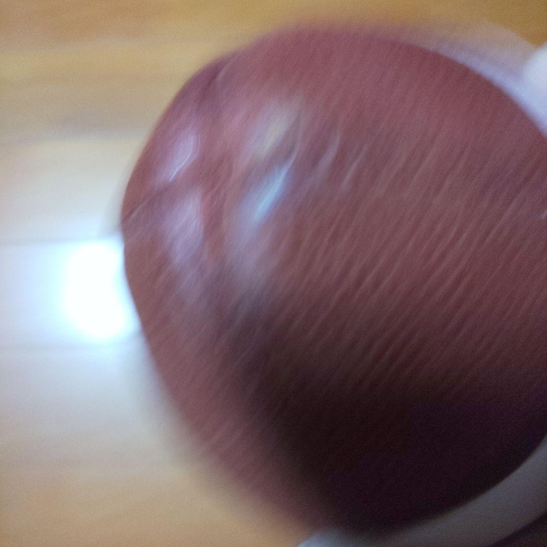 Wilson Long Bomb アメリカンフットボール 2011年製