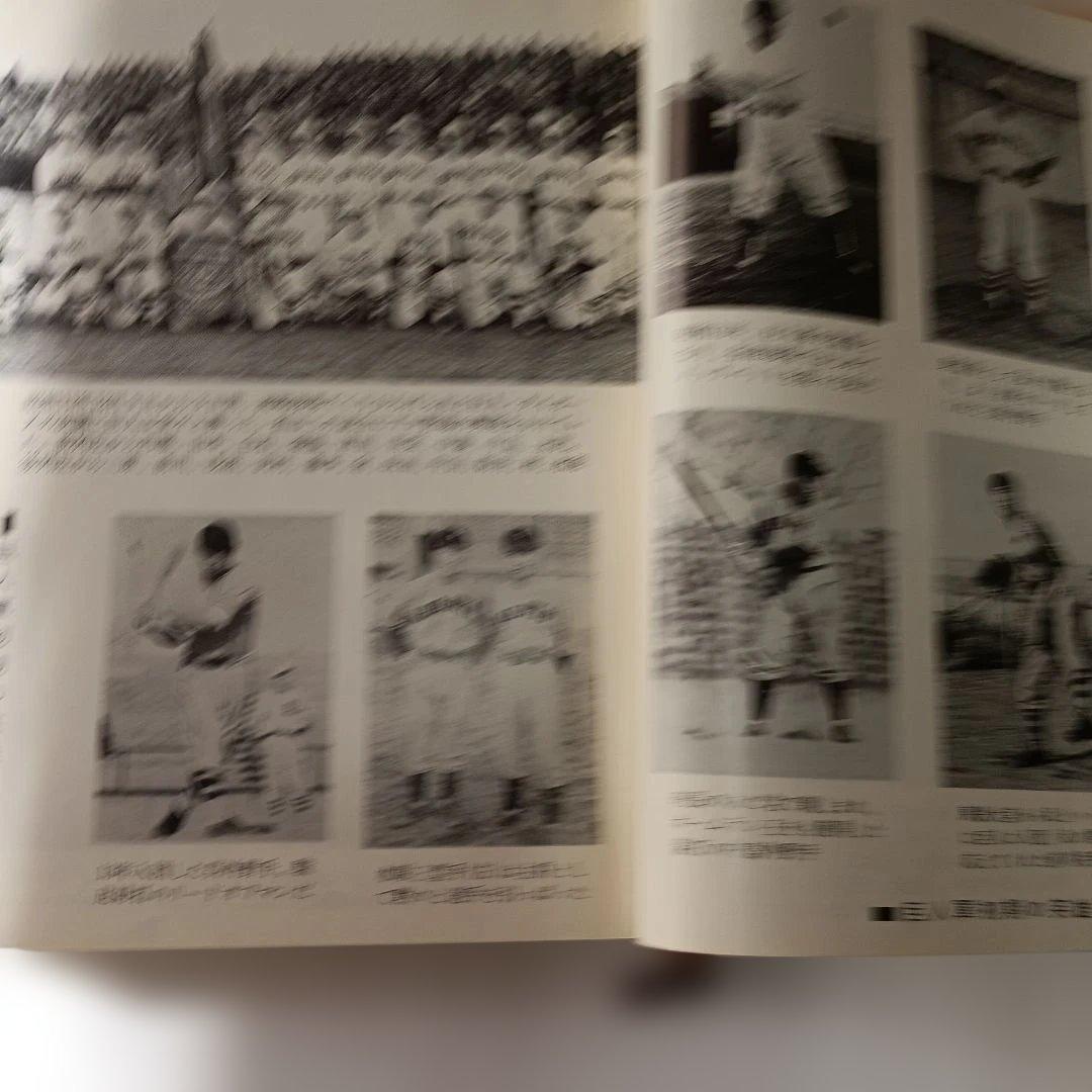 プロ野球風雪三十年の夢 藤本定義　著