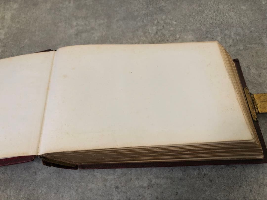 フランス　写真　アルバム　古写真　当時物　書