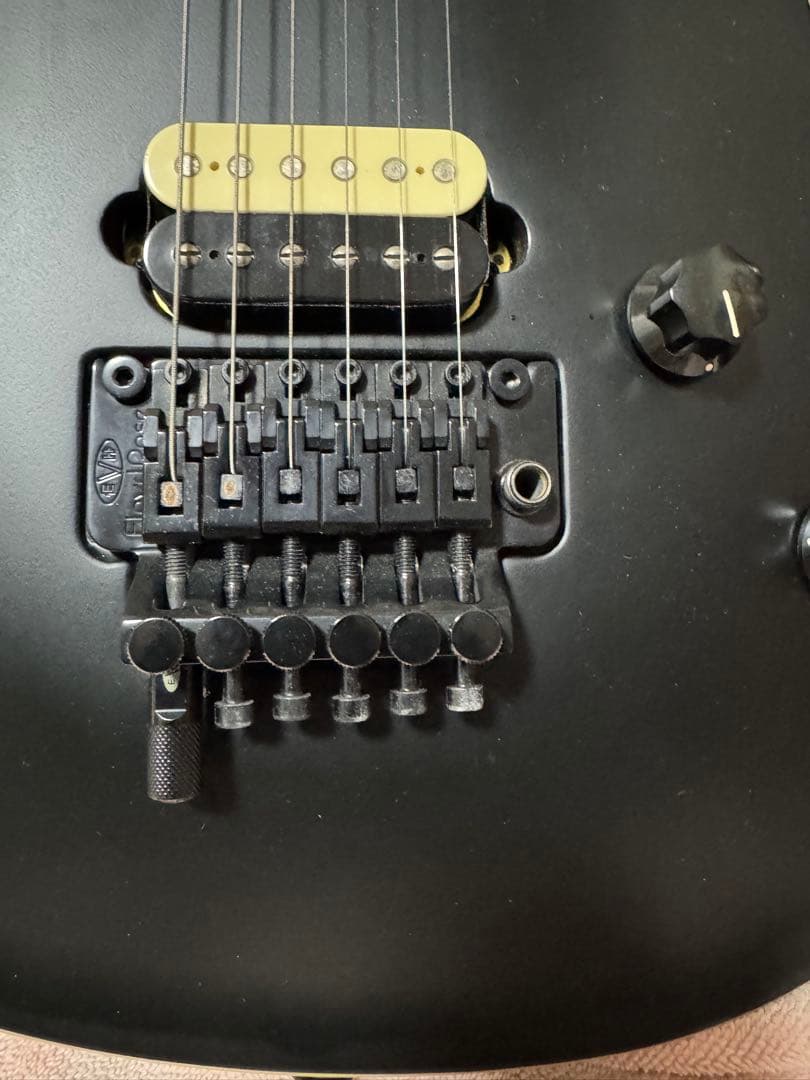氏のために予約されています egusan33 EVH Wolfgang Sp