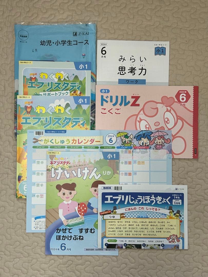 新品同様 最新　Z会 小学1年生 2024年度 1年分　みらい思考力あり